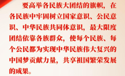习近平论铸牢中华民族共同体意识